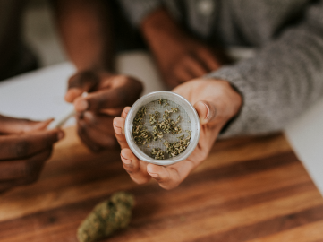 Fresh Green Categories Accessories