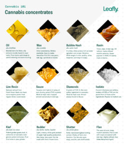 Cannabis Concentrates